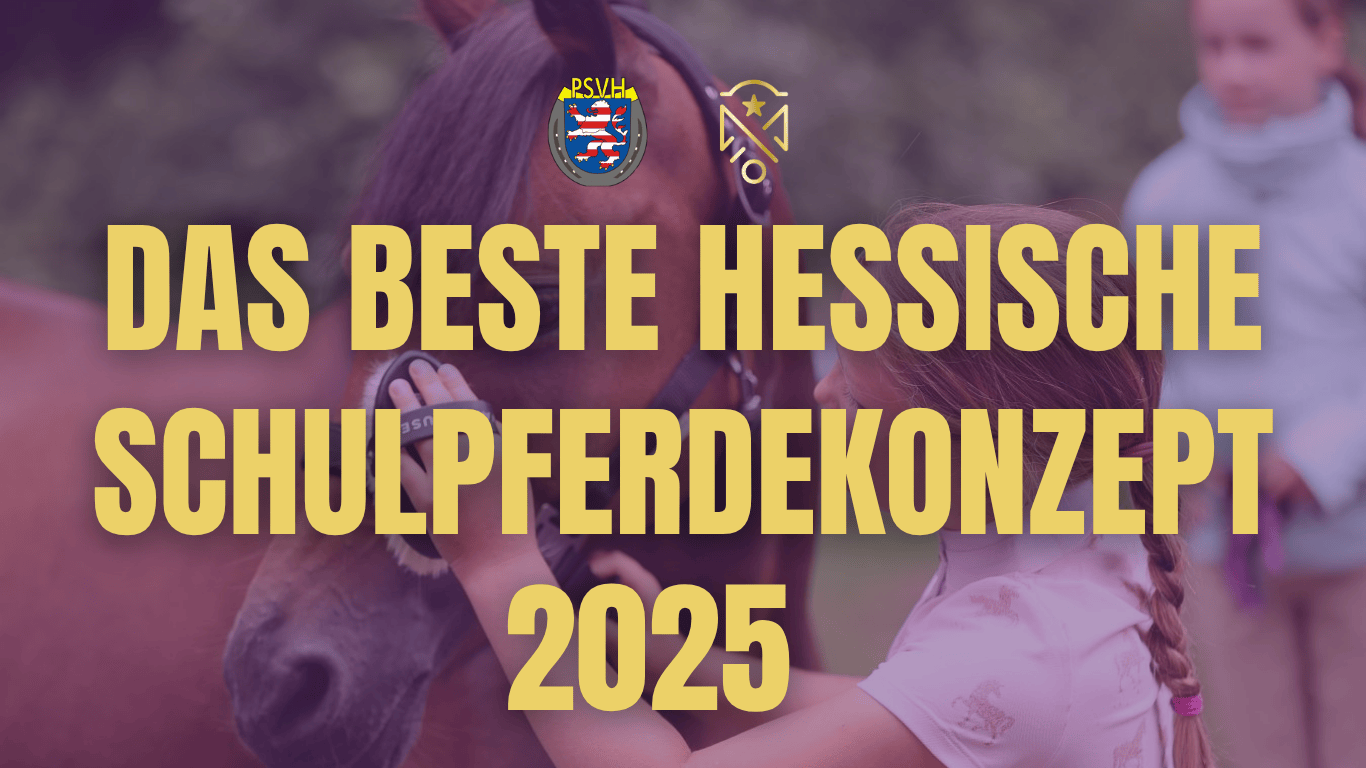 DAS BESTE HESSISCHE SCHULPFERDEKONZEPT 2025 Website