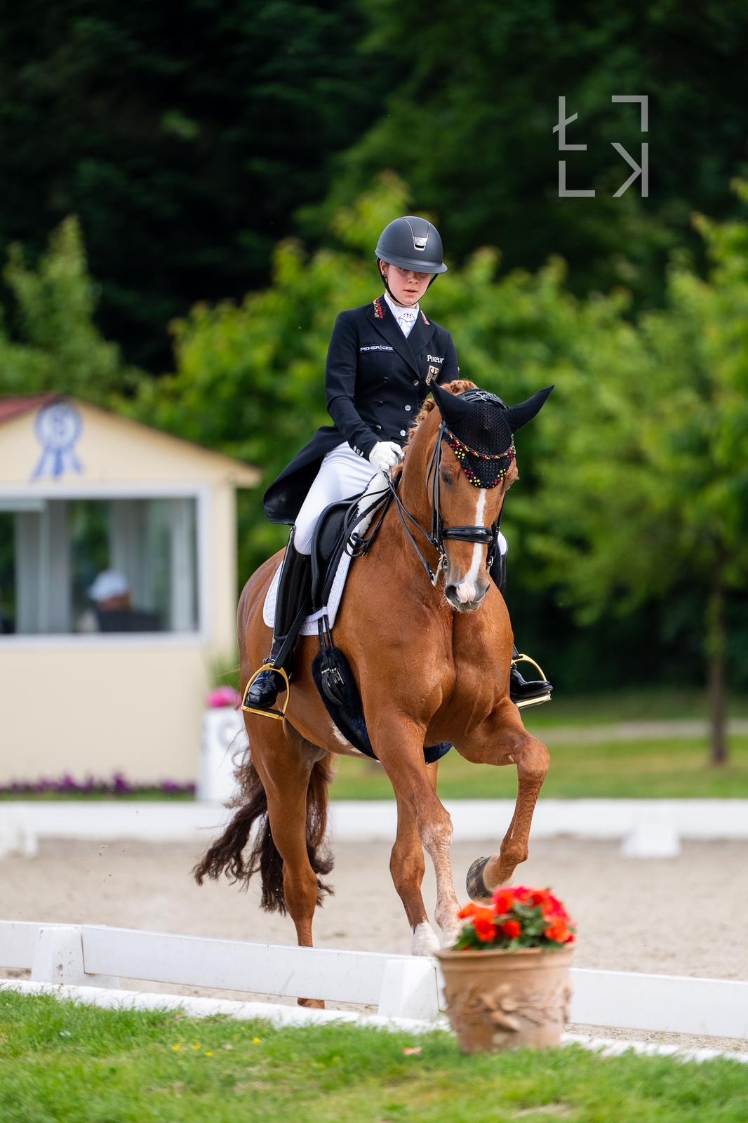 d7c355b5 7209 40b9 a49d 2b9f2f77bb0f